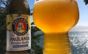 Paulaner Weizen-Radler